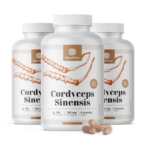 3x Cordyceps sinensis 1400 мг – екстракт 10:1, общо 540 капсули