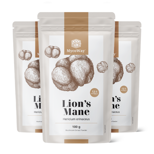 3x Игловиден корал (лъвска грива) - екстракт 12:1, общо 300 г