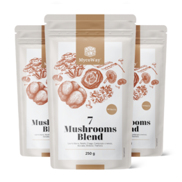 3x Смес от екстрактите на седем гъби на прах, общо 750 г