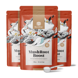 3x MushRoot Boost - напитка за умствена ефективност, общо 300 г
