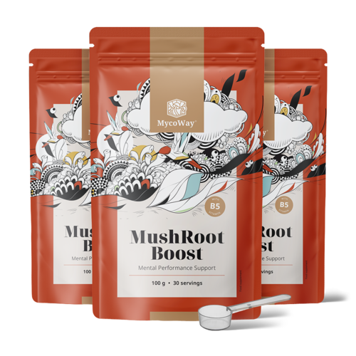 3x MushRoot Boost - напитка за умствена ефективност, общо 300 г