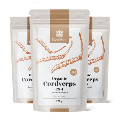 3x BIO Cordyceps CS-4 на прах, общо 600 г